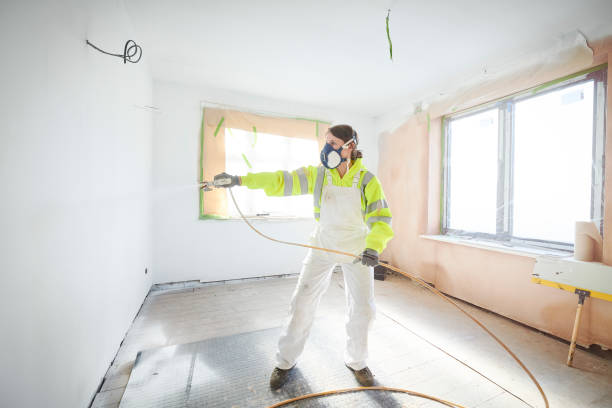 Best Mold Odor Removal Services  in Oak Grove, MS