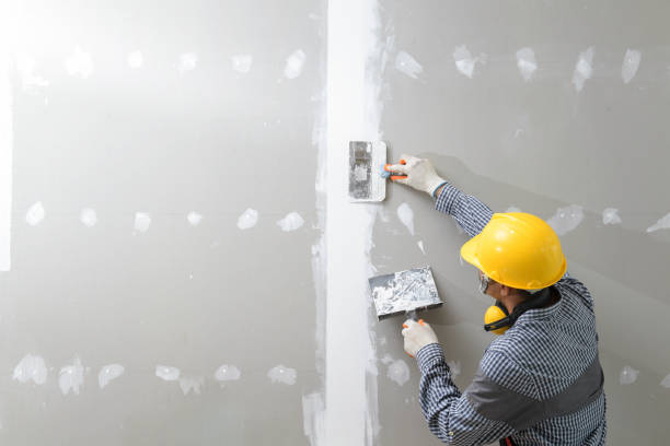 Best Commercial Mold Inspection  in Oak Grove, MS