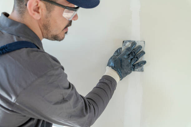 Mold Odor Removal Services in Oak Grove, MS