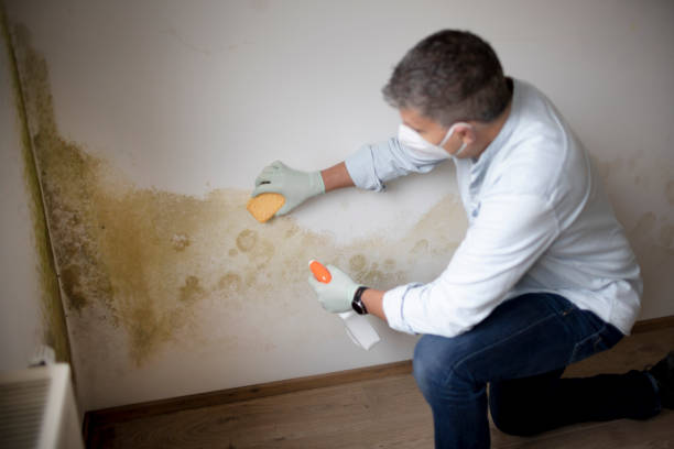 Best Forensic Mold Investigation  in Oak Grove, MS