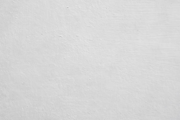 Mold Documentation for Insurance Claims in Oak Grove, MS